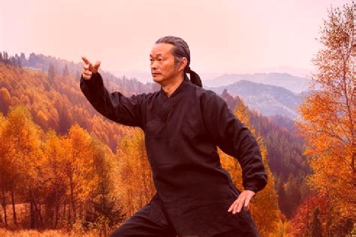 escort Wudang