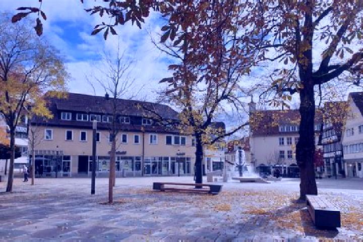 escort Wuelflingen (Kreis 6) / Lindenplatz