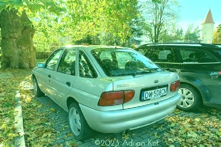 escort Wurmlingen
