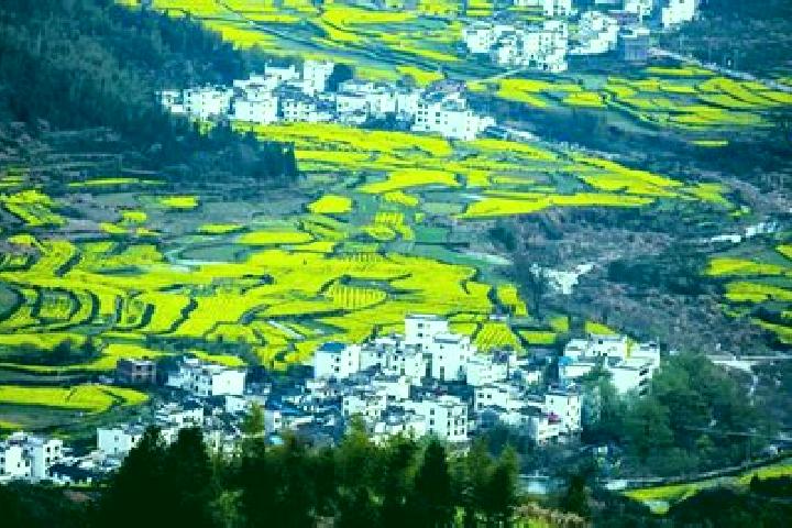 escort Wuyuan