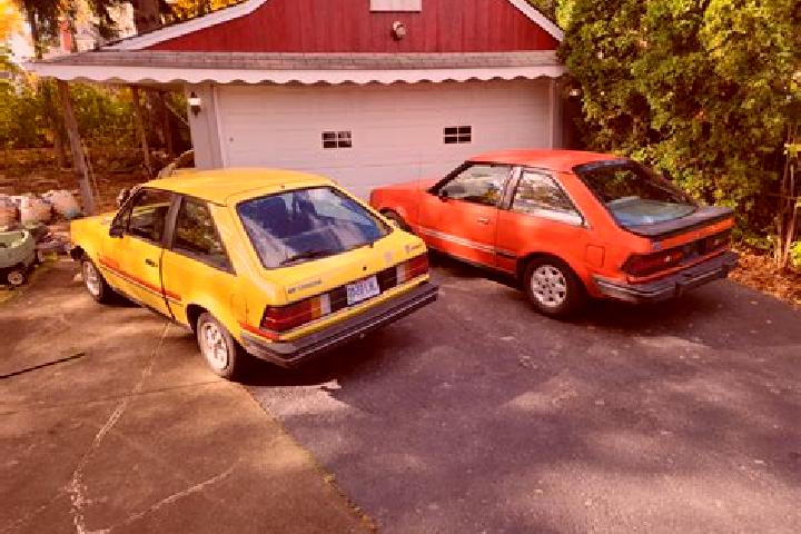 escort Xacmaz