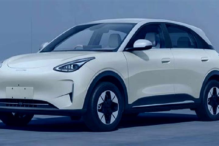escort Xingyuan