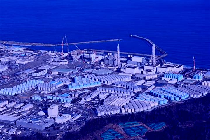 escort Yagoshima