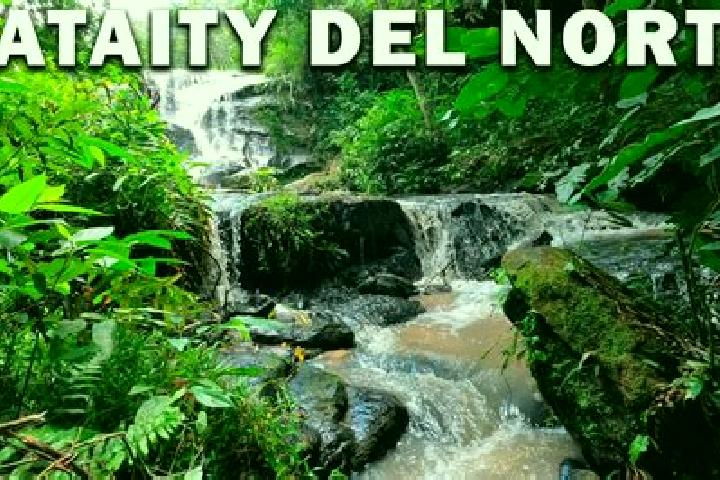 escort Yataity del Norte