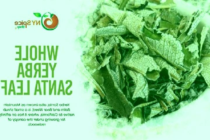 escort Yerba Santa