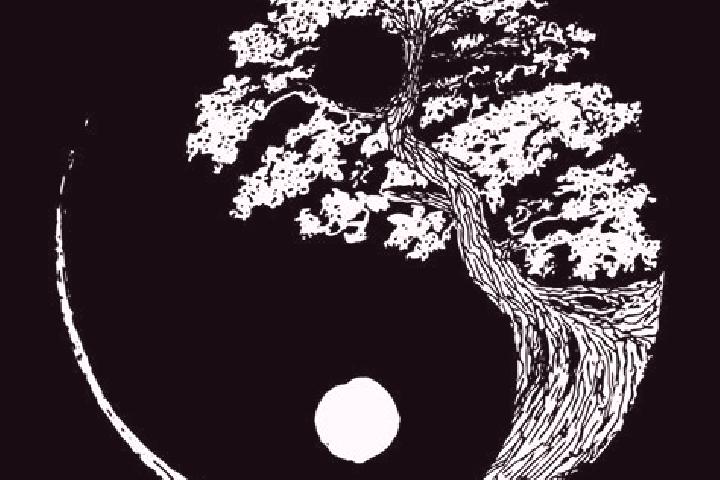 escort Yinyang