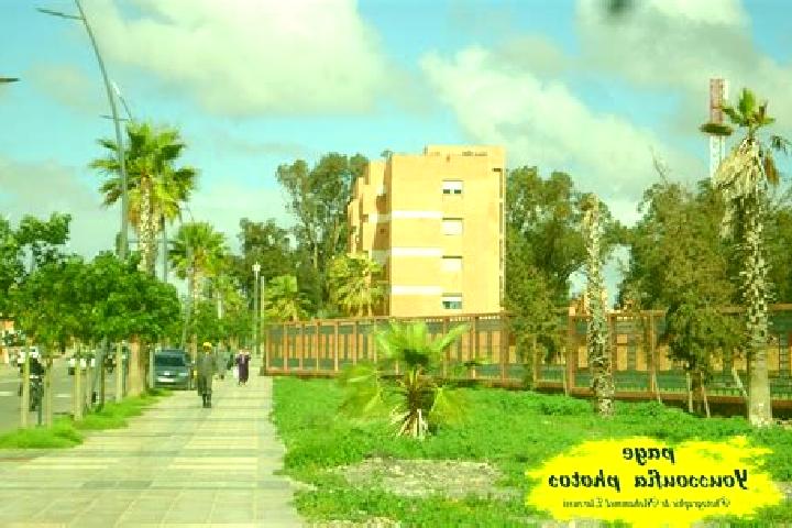 escort Youssoufia