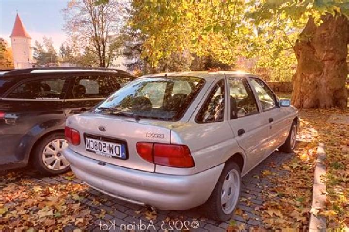 escort Zadawa