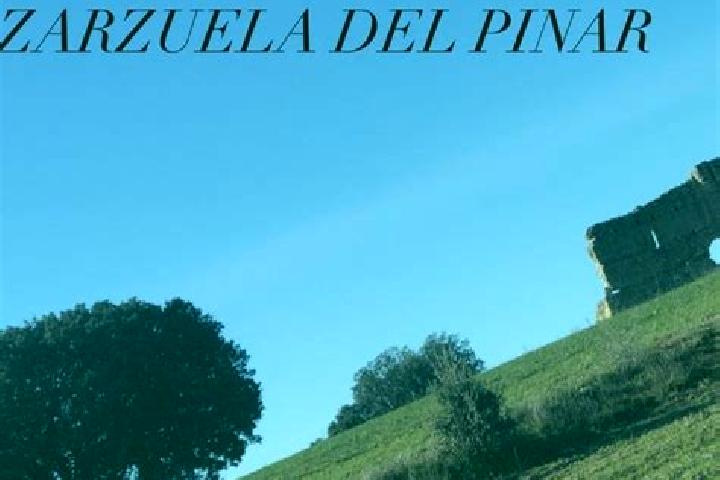escort Zarzuela del Pinar