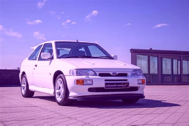 escort Zawidz