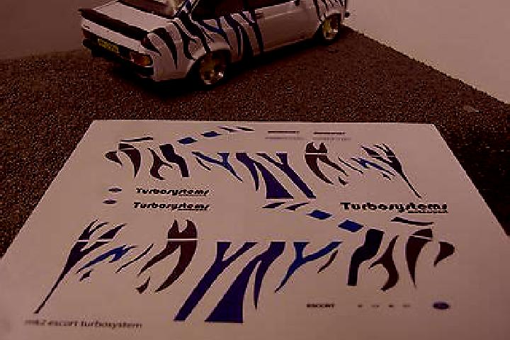 escort Zebra