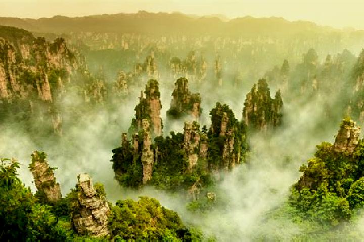 escort Zhangjiaji