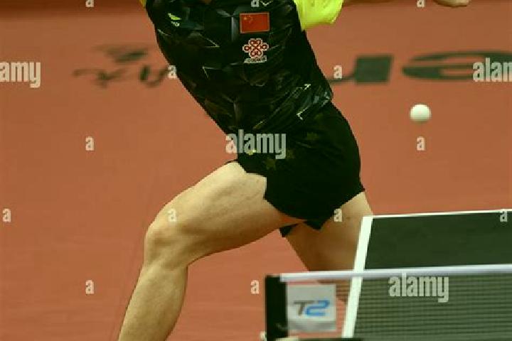 escort Zhendong