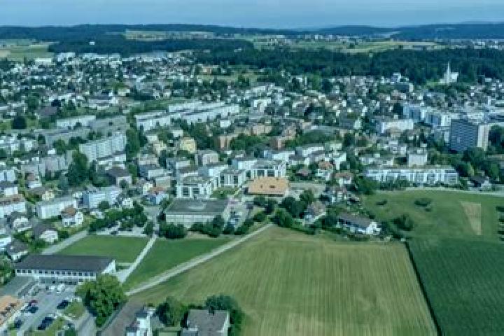 escort Zollikofen