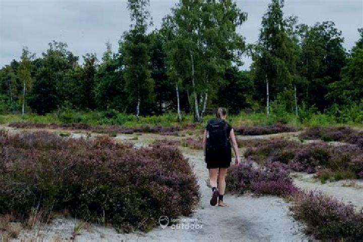 escort Zonhoven