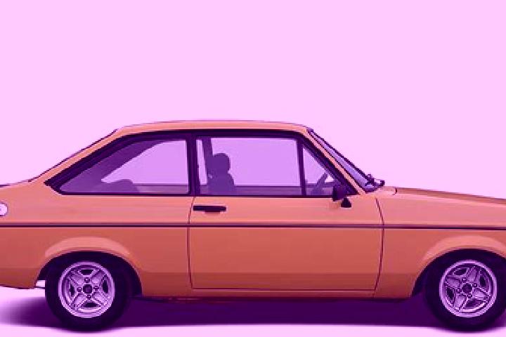 escort Zonnegem