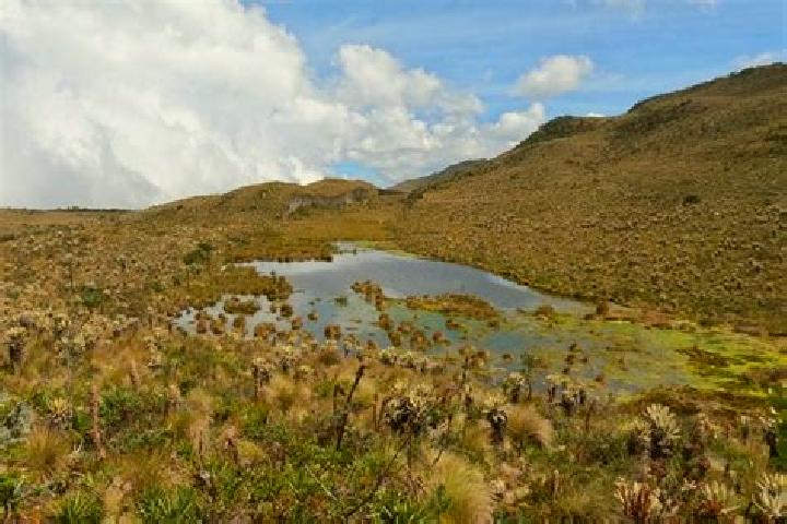 escort Zotes del Paramo
