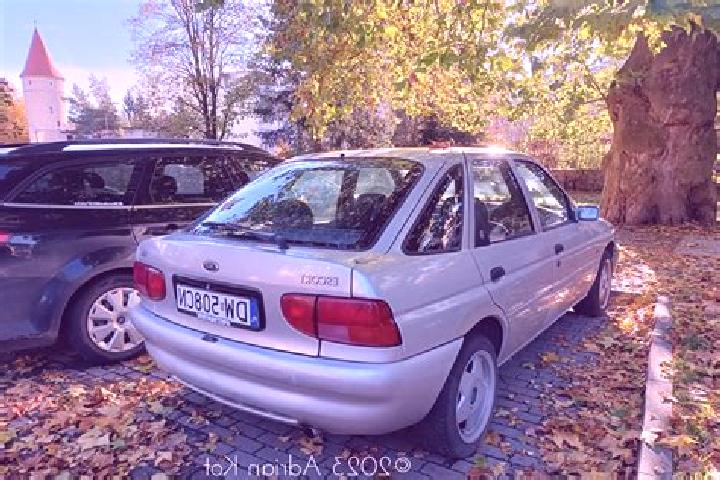 escort Zvecka