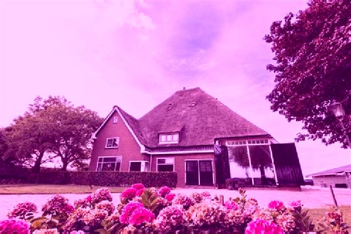 escort Zwaagdijk-Oost