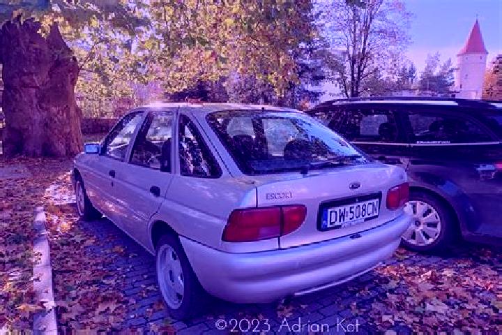 escort Zyablikovo