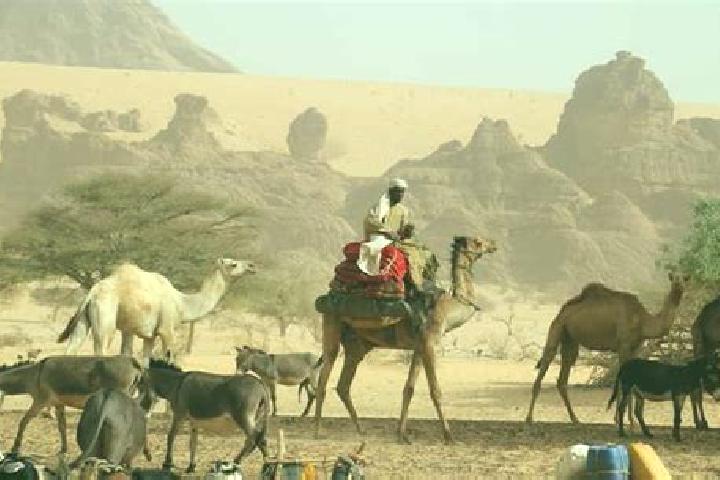 Escorts Abou Deia, Chad — Local Companions
