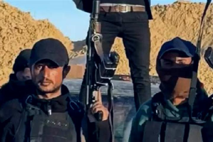 Escorts Abou el Hassan, Algeria — Local Companions