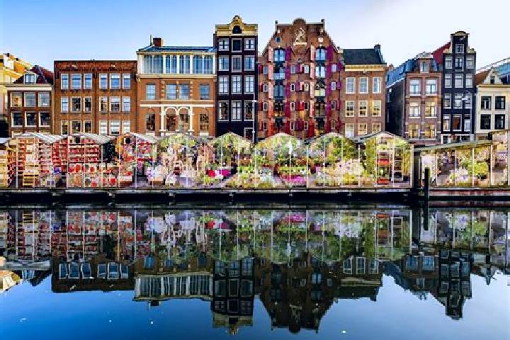 Escorts Achlum, Netherlands — Local Companions
