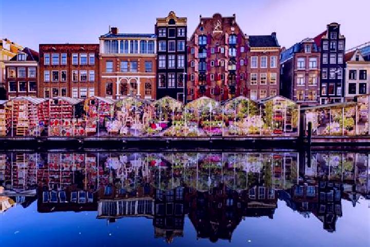 Escorts Achtmaal, Netherlands — Local Companions