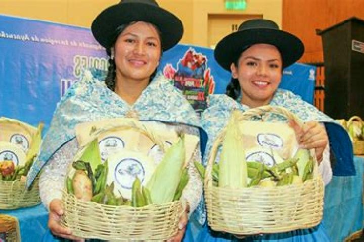 Escorts Acocro, Peru — Local Companions