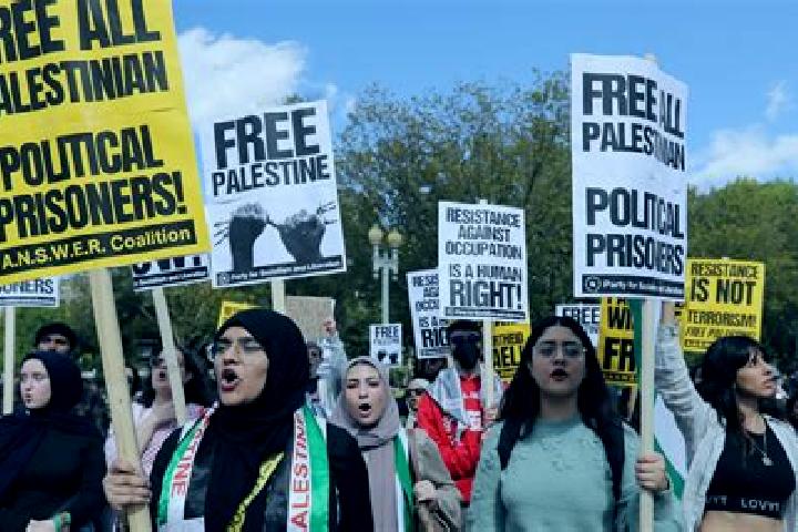 Escorts Ad Dayrat, Palestine — Local Companions