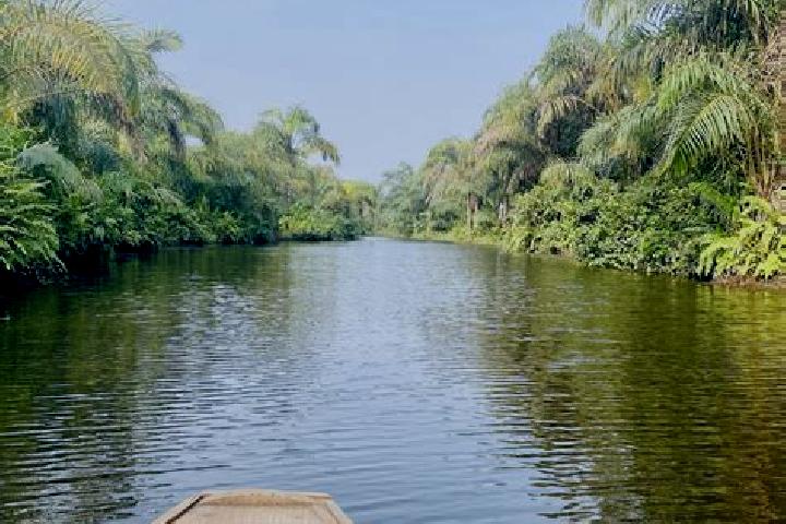Escorts Adjarra, Benin — Local Companions