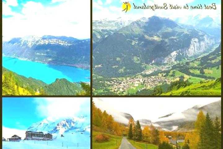 Escorts Adliswil / Sonnenberg, Switzerland — Local Companions