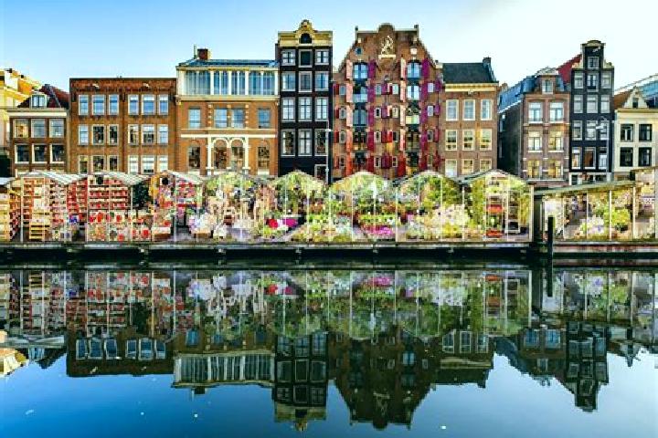 Escorts Adorp, Netherlands — Local Companions