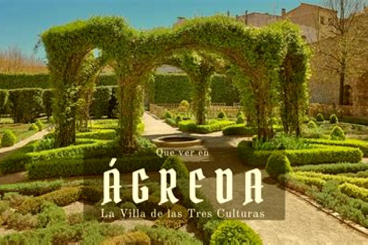 Escorts Agreda, Spain — Local Companions
