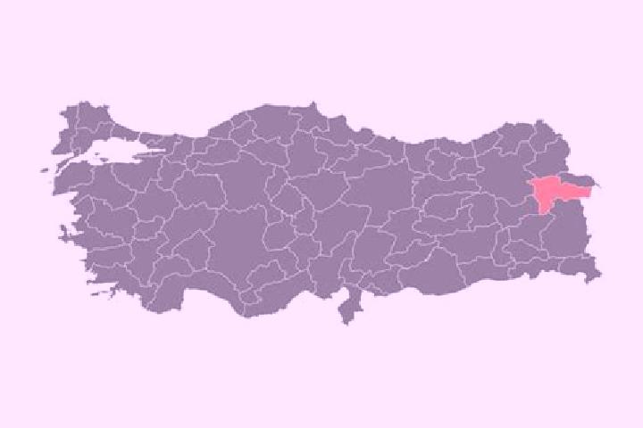 Escorts Agri, Turkey — Local Companions