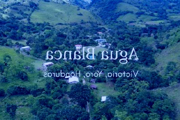 Escorts Agua Blanca Sur, Honduras — Local Companions