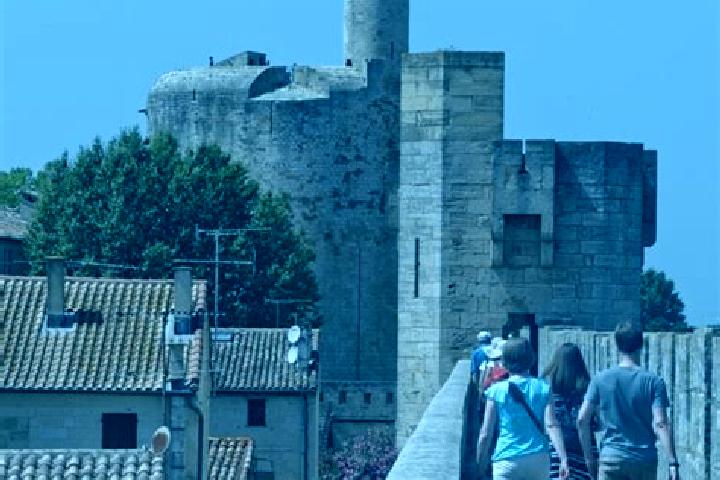 Escorts Aigues-Mortes, France — Local Companions
