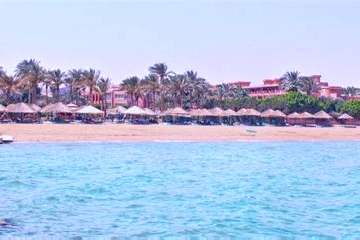 Escorts Ain Sukhna, Egypt — Local Companions