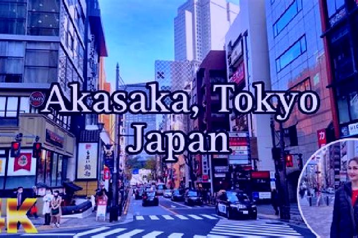 Escorts Akasaka, Japan — Local Companions