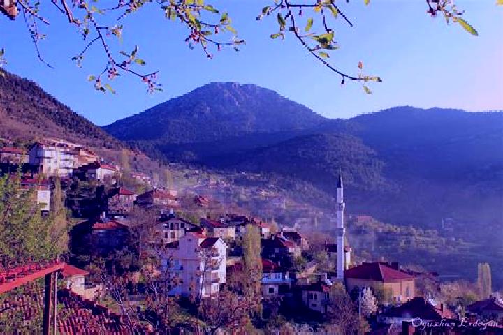 Escorts Akseki, Turkey — Local Companions