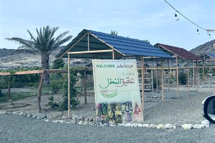 Escorts Al Aqiq, Saudi Arabia — Local Companions