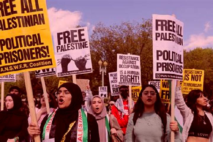 Escorts Al Araqa, Palestine — Local Companions