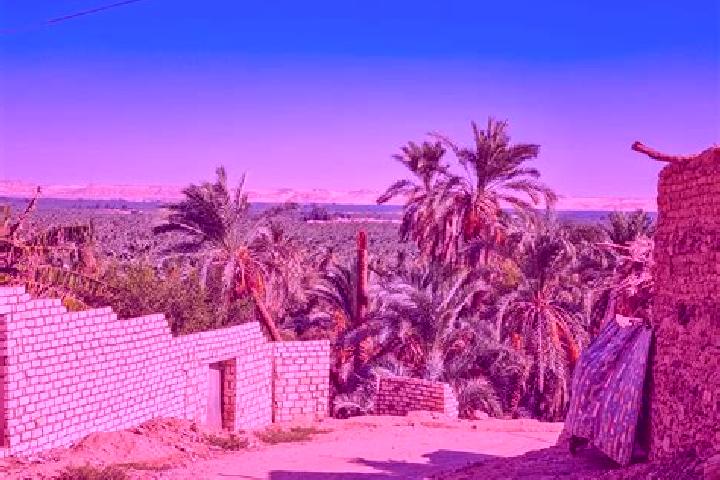 Escorts Al Bawiti, Egypt — Local Companions