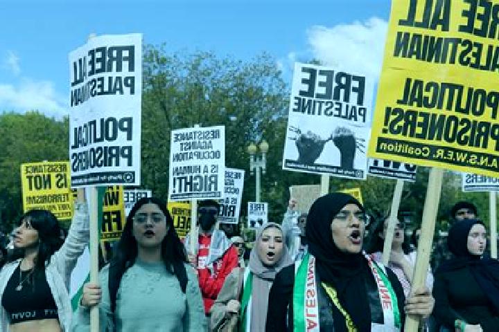 Escorts Al Buq ah, Palestine — Local Companions
