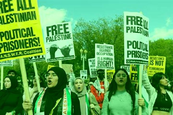 Escorts Al Fandaqumiyah, Palestine — Local Companions