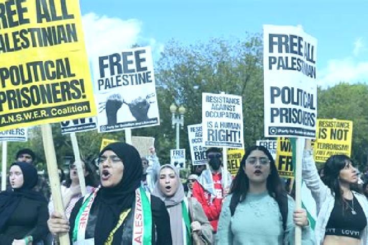 Escorts Al Funduq, Palestine — Local Companions