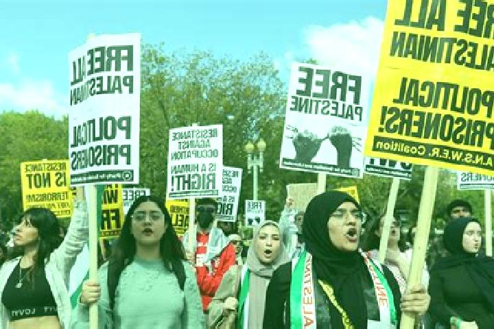 Escorts Al Janiyah, Palestine — Local Companions