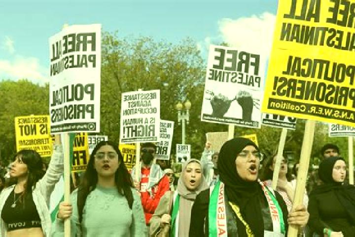 Escorts Al Judayrah, Palestine — Local Companions