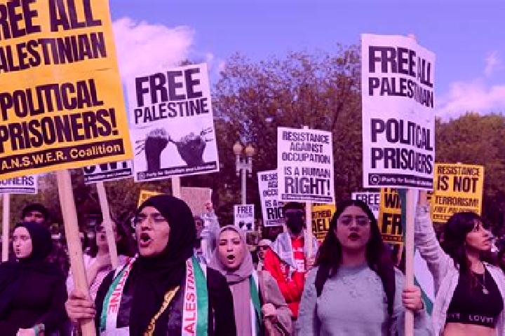Escorts Al Khuljan, Palestine — Local Companions