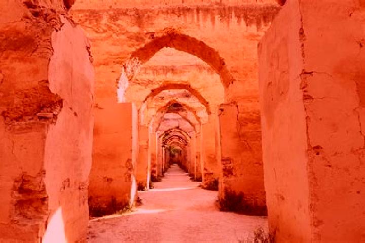 Escorts Al Machouar - Stinia, Morocco — Local Companions